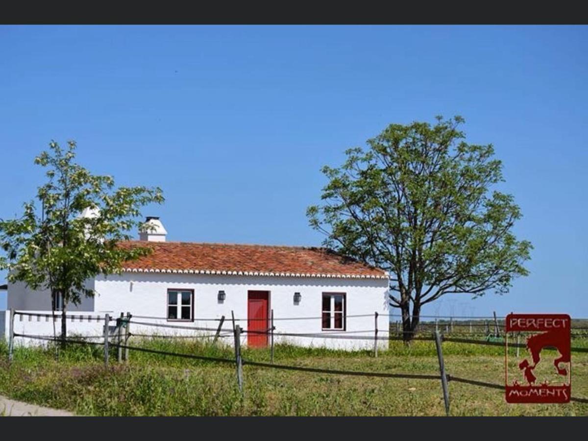 Вілла Monte Da Boavista - Country Family House Алтер-ду-Шан Екстер'єр фото